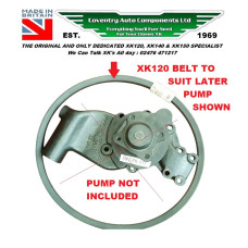 8021. Jaguar XK120 Late Waterpump Fan Belt . C5056