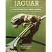 1270. XK150 Large Leaping Jaguar Cat Mascot . BD10954