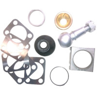 4170B. XK Early Design Suspension Lower Ball Joint Kit with ( Morganite) Brass Seat & Steel Spigot .C3024. C3025. C3026. C3029. C8326
